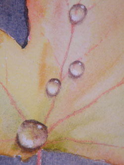 Water drops detail, watercolour